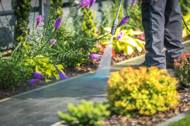 Best Gutter Cleaning  in Soap Lake, WA